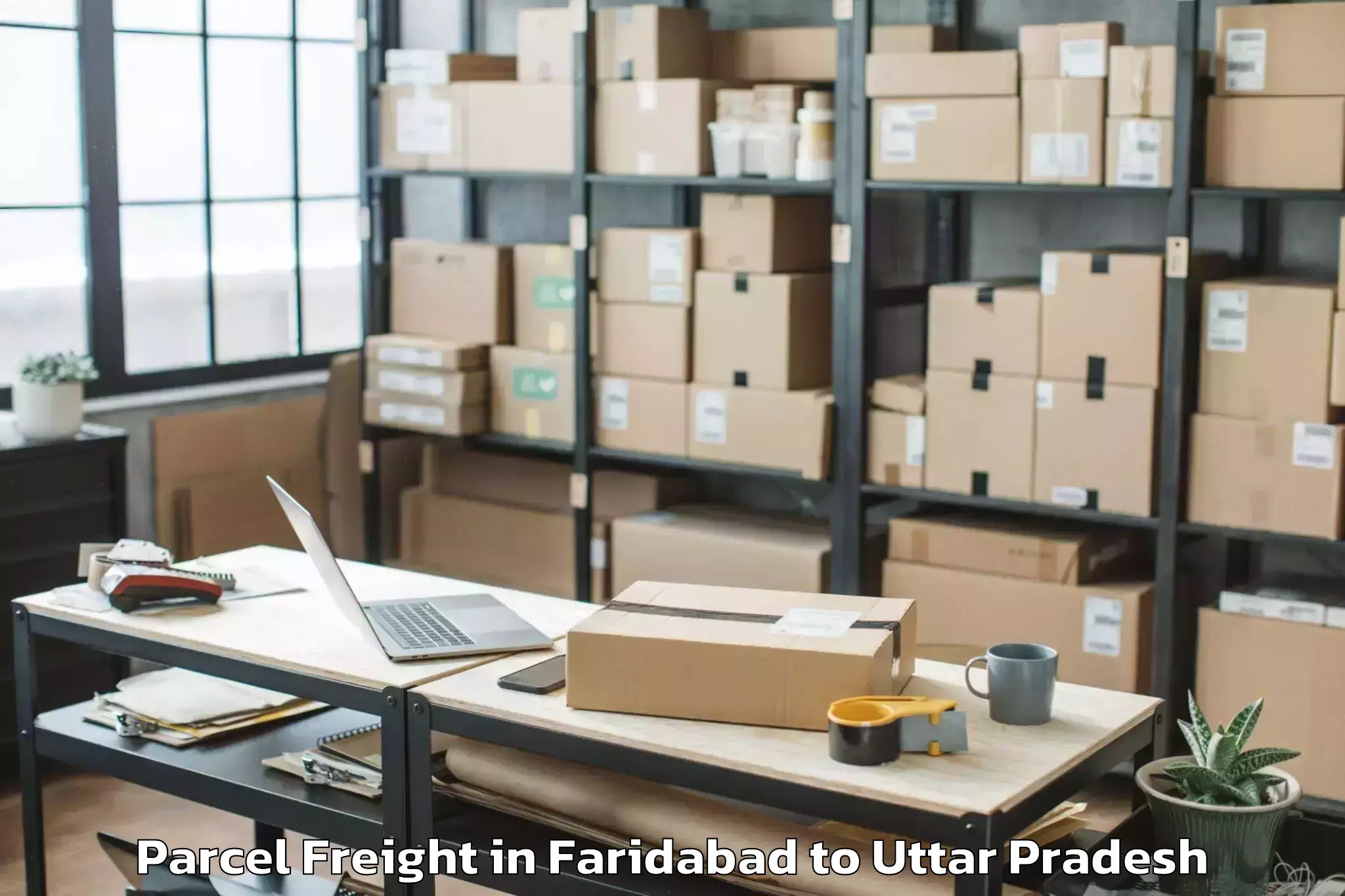 Top Faridabad to Talbehat Parcel Freight Available